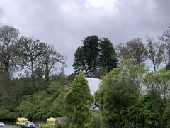 -怀托摩萤火虫洞