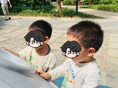 -金点蒙氏国际教育(悠然校区)