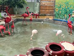 -正佳雨林生态植物园