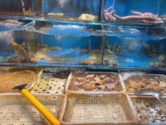 -潮庭·大连海鲜·炭火烧烤·扇贝王(大连店)