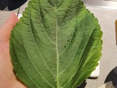 -丰茂烤串(公园店)