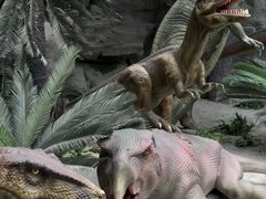 -国家自然博物馆