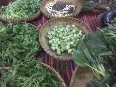 -昆虫窝子·特色云南菜(拓东路总店)