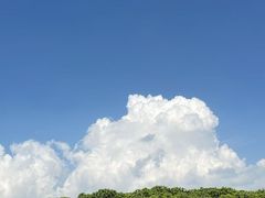 -福田红树林生态公园