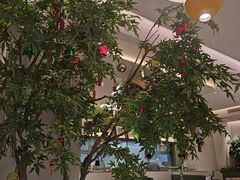 -Aqua Oasis 水天堂(太湖中心mall店)