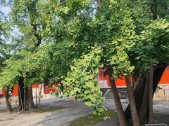 -承恩寺