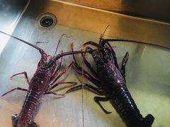 -灌篮高手动画打卡地