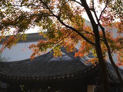 -秋霞圃