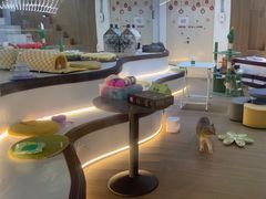 -COLOR PETS 撸猫馆·购猫·猫咖(长风大悦城店)
