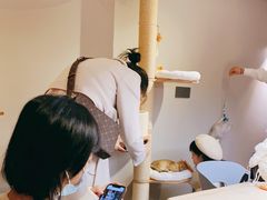 -Catmate·猫肥家润(金润铂宫店)
