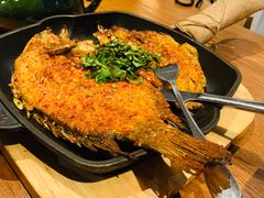 -云海肴·汽锅鸡·云南菜(天山百盛优客店)