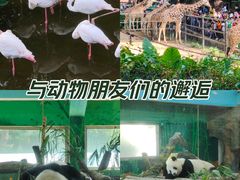 -广州动物园