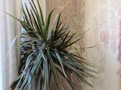 -至尚形象·化妆服饰搭配礼仪培训