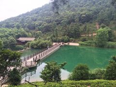-九龙潭景区