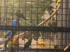 -多彩贵州城极地海洋世界