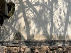 -老张烤羊(王哥庄店)