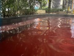 -融汇温泉