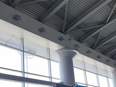 -宾朋海鲜特色美食餐厅·纯手工鲅鱼水饺(兴海路店)