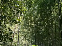 -众神白水涧景区