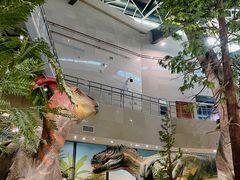 -湖南省地质博物馆