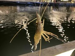 -DGE季风钓虾营地·团建·聚会