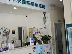 -中农国际动物医院24小时·猫科·骨科·急重症中心