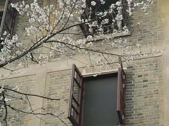 -武汉大学-樱园