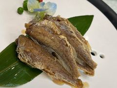 特色小黄鱼-悦隆酒店-中餐厅