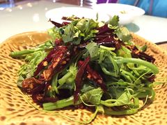 -新凯里酸汤鱼(飞山街店)