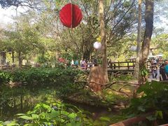 -海南热带野生动植物园