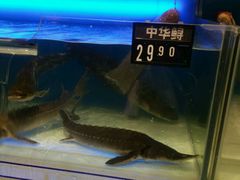 -中百仓储(新洲购物广场店)