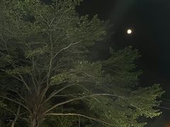 -麦当劳(总统大酒店店)