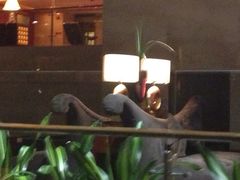 -广州白云机场雅高铂尔曼大酒店