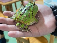 -藦茜花园宠物主题亲子互动体验馆(国顺东路店)