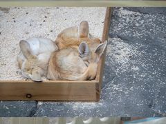 -宁波野生动物园
