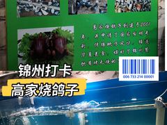 -高家烧鸽子烧烤店63年
