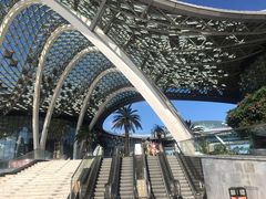 -马陆小张葡萄园农家乐