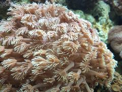 -北戴河圣蓝海洋公园