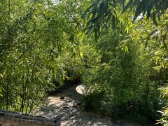 -杨家埠民间艺术大观园