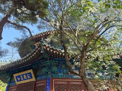 -潭柘寺景区