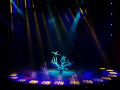 -水秀国际大剧院