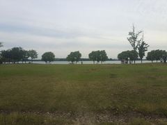 -漕湖湿地公园