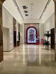 -深圳美莱医疗美容医院