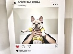 -Double Rui宠物酒店