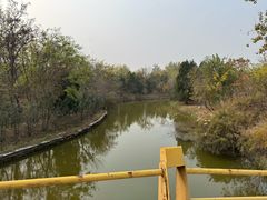 -塘沽森林公园