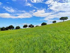 -五角枫生态旅游景区