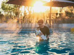 -爪吧宠物乐园 (温榆河示范区店)