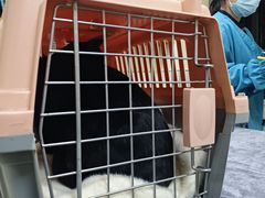 -动物缘宠物医院·骨科·猫科(西二环店)