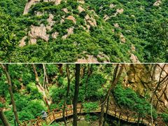 -大岭沟猕猴桃谷风景区