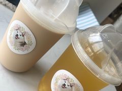 -Husky Go! 哈士奇体验馆·宠物咖啡厅狗咖